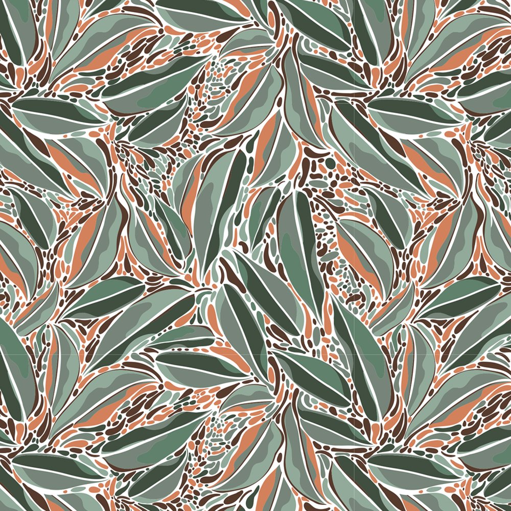 australian summer bluegum leaves tea tree