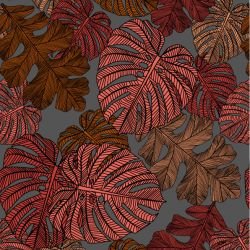 fronds monsteria mix autmun