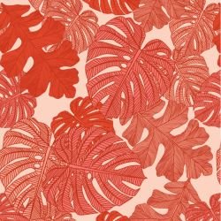 fronds monsteria mix flame