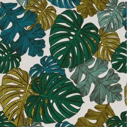 fronds monsteria mix lush