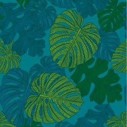 fronds monsteria mix mangrove