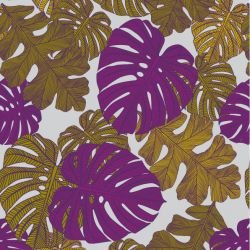 fronds monsteria mix royal