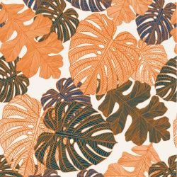 fronds monsteria mix winterlight