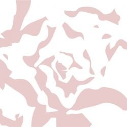 gardenlife flora cottoncandy detail