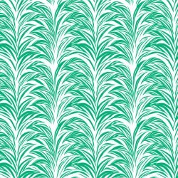 gardenlife zebra fern regalgreen