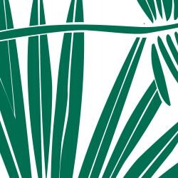 fronds silhouette falling fronds marine white detail