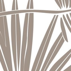 fronds silhouette falling fronds riversand white detail