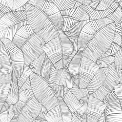 fronds silhouette leaf overlay lead white