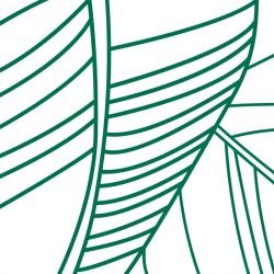 fronds silhouette striped palm marine white detail