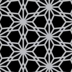 shimmer aikiko dark silver look