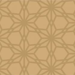 shimmer aikiko gold two tone look