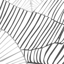 fronds silhouette leaf overlay white lead twotone detail