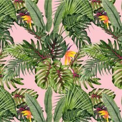 jungle chic lavish candyfloss