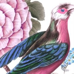 jungle chic blooming birds day