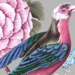 jungle chic blooming birds grey