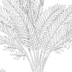 jungle chic palm jungle silhouette day