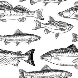 colour in fishstream