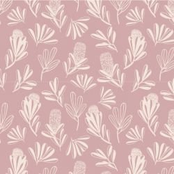 coastal banksia white blush