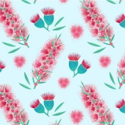 coastal bottlebrush coastal