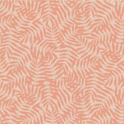 coastal canopy coral