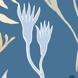 coastal kangaroo paw ocean detail