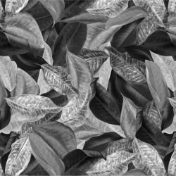 australian forest autumn leaves monochrome