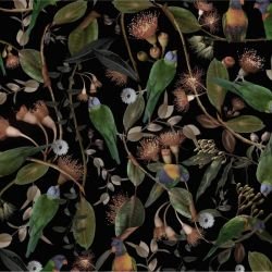 australian forest beaks and blooms dark soft