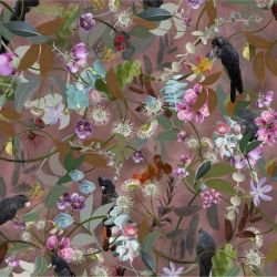 australian forest cacophony autumn