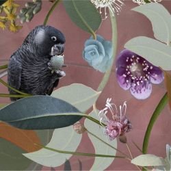 australian forest cacophony autumn detail