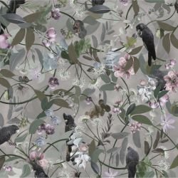 australian forest cacophony sepia