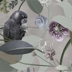 australian forest cacophony sepia detail