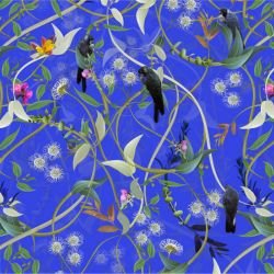 australian forest carnabys collective blue