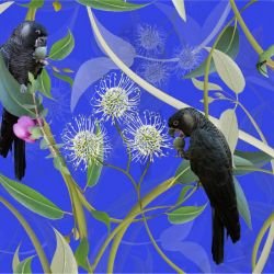 australian forest carnabys collective blue detail