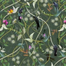 australian forest carnabys collective dark rainforest