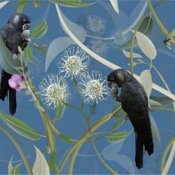 australian forest carnabys collective dusky blue detail