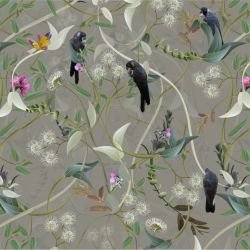 australian forest carnabys collective sand