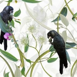 australian forest carnabys collective white detail