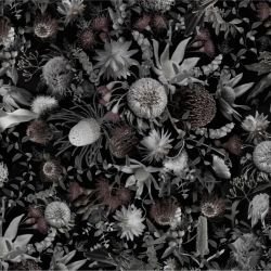 australian forest crimson and sage soft