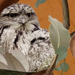 australian forest tawney love terracotta detail