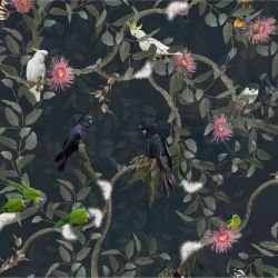 australian forest birdland mural midnight