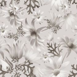australian forest flannel flowers small sepia