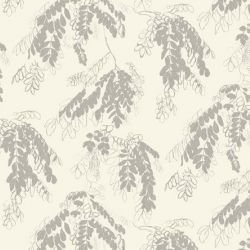 pipwilly robinia natural