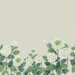 secret garden hydrangea border original