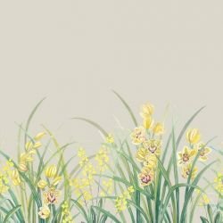 secret garden orchid border original