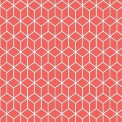 kgbasics fold reverse quarter coralreef