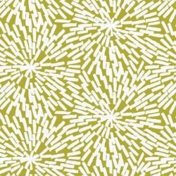 oriental collective  basket weave citron
