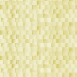 pacific banana palm kelp