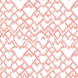 pacific cone shell coral pink