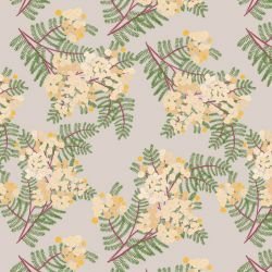 australian botanical wattle cream on taupe