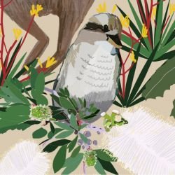 native fauna native mix detail